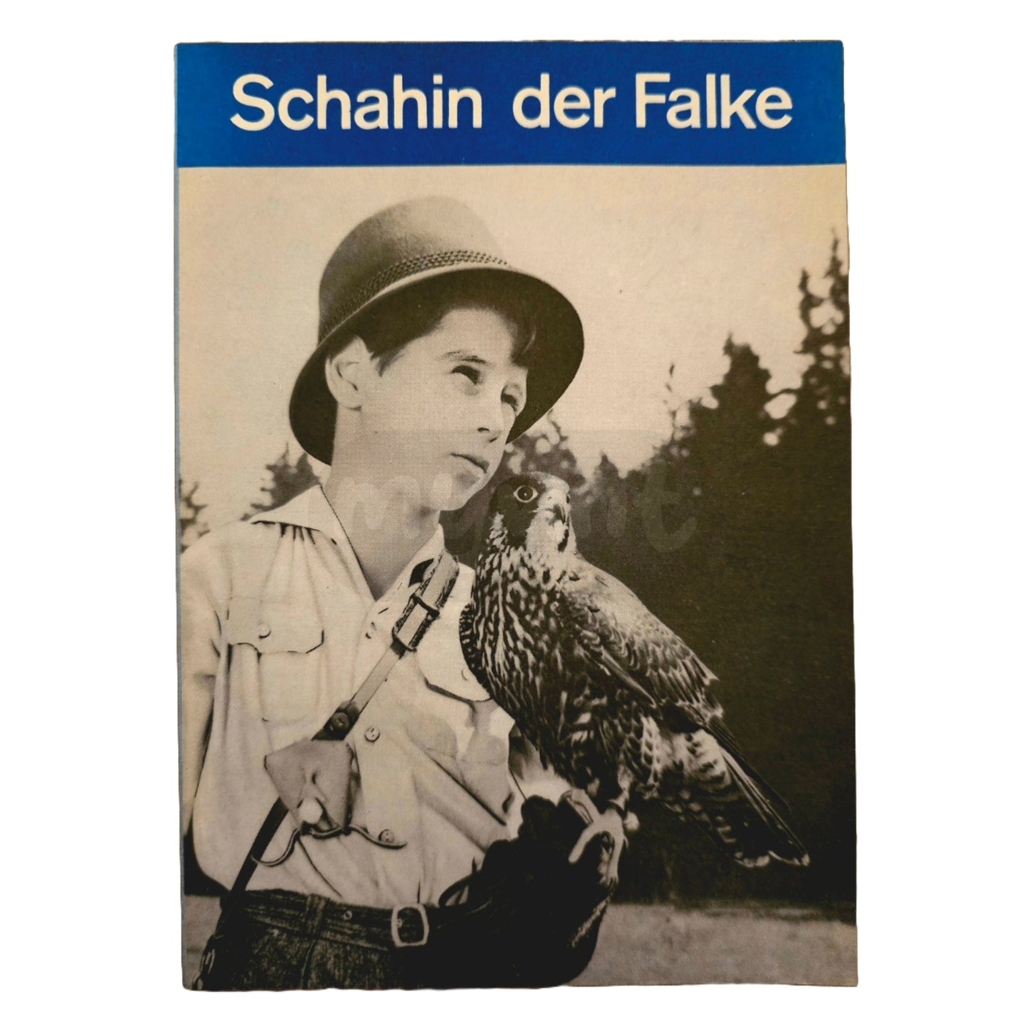 Progress Filmprogramm K 10/69 Schahin der Falke 1969
