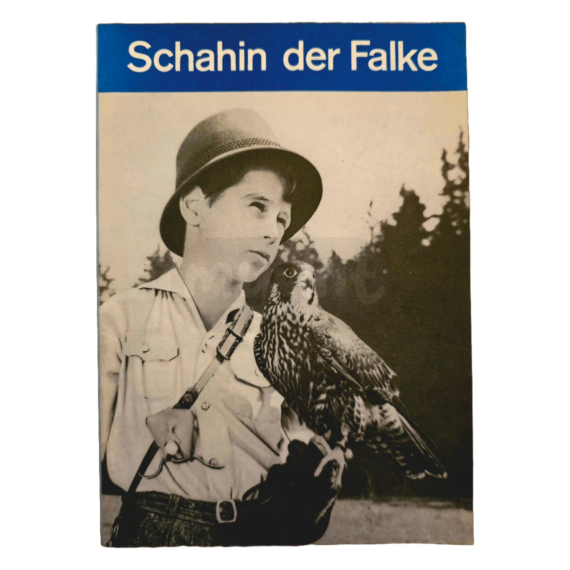 Progress Filmprogramm K 10/69 Schahin der Falke 1969