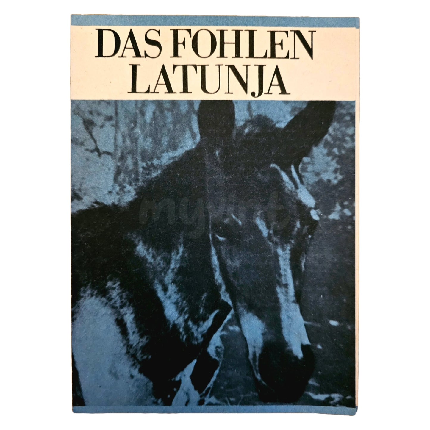 Progress Filmprogramm K 11/68 Das Fohlen Latunja 1968