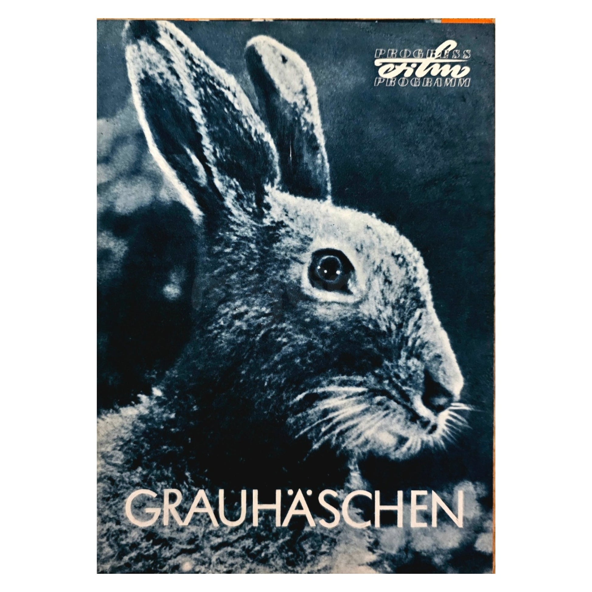 Progress Filmprogramm K 27/63 Grauhäschen 1963